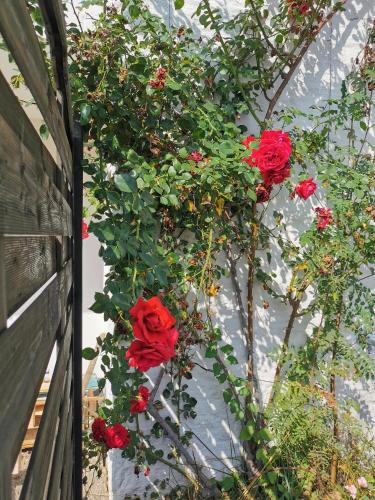 Facilities, Sonnenoase Lindenberg in Lindenberg im Allgau