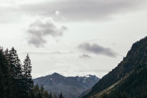 Ferienhaus Alpen Lodge und die Gams