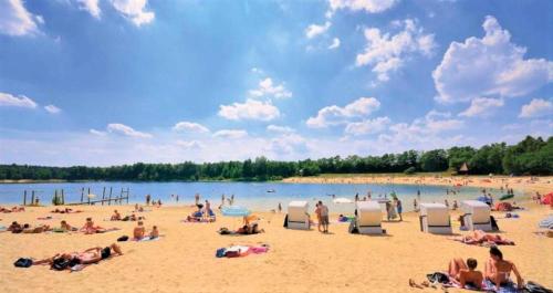Közeli látványosságok, Große Ferienwohnung, auf Bauernhof mit Ponys und Pferden, ländlich und ruhig, Nähe Dümmer See (Große Ferienwohnung, auf Bauernhof mit Ponys und Pferden, landlich und ruhig, Nahe Dummer See) in Holdorf