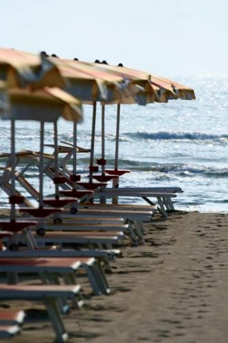 Hotel Sedonia - image 12