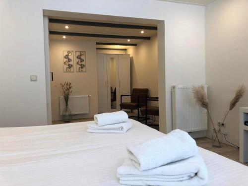 Hotel-Restaurant De Walvisvaarder in Ameland