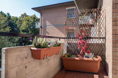 Parma A due passi dall'Ospedale Apartment - image 7