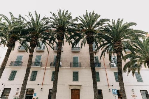 Soho Boutique Colón - image 12