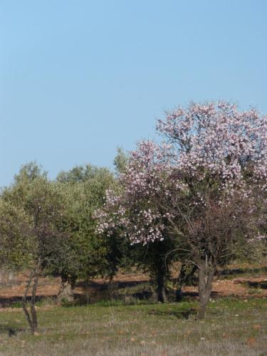 Alojamiento Rural Don Tello de Almodovar