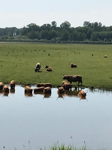 Authentiek vakantiehuisje