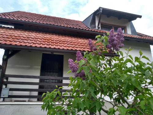  Apartman Sveti Rok, Pension in Sveti Rok bei Rudopolje Bruvanjsko