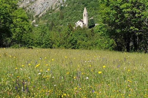 L Edelweiss in Saint-Dalmas-le-Selvage