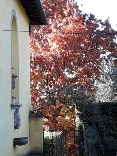 Villa Le Pergole- Firenze, Florencia (foto 4)