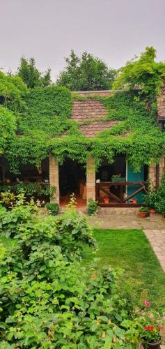 Apartment Ilkićev kućerak - image 9