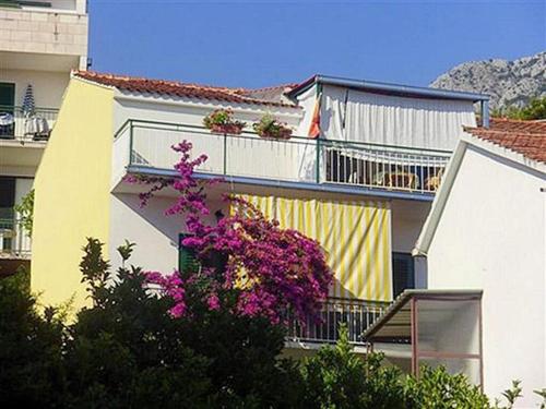 Apartments by the sea Podgora Makarska - 16159 Podgora 