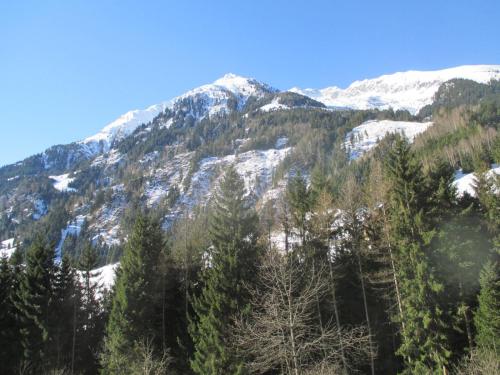 Bamerhof, Mittersill (fotografie 8)