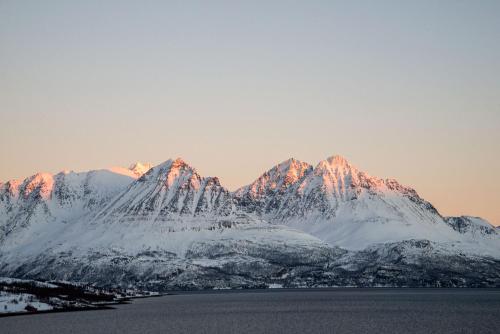 Arctic Panorama Lodge