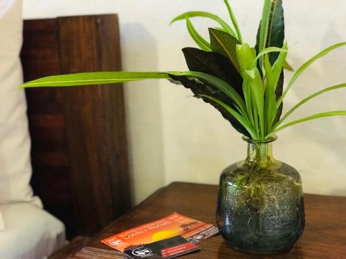 Cafe Central in Mozambique Island