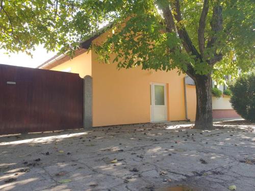 Tisin cvet-Tiszavirág Ada
