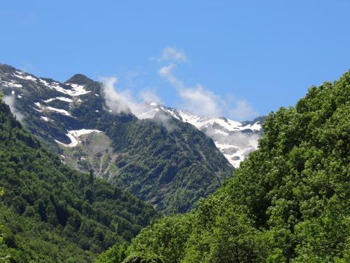 Auberge Les Myrtilles in Couflens