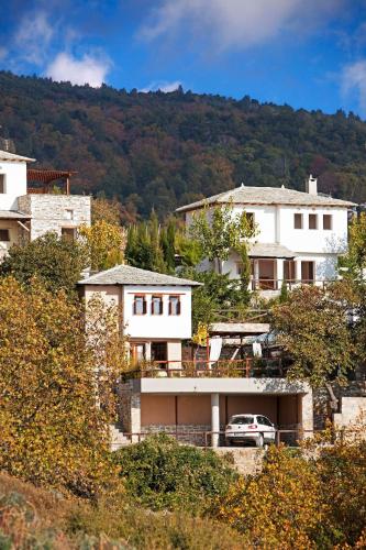 Great Pelion Villa Villa Dioni 2 bedrooms Aghios Georgios