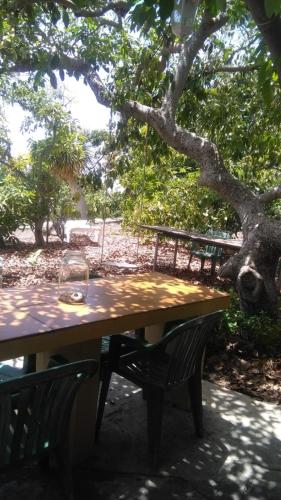 Casa Los Mangos - image 6