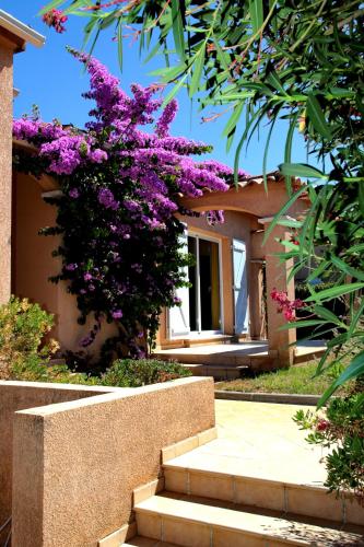 Létesítmények, Di Felicita in Bastelica