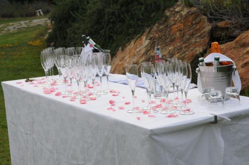 Tenuta Di Seripa - image 7