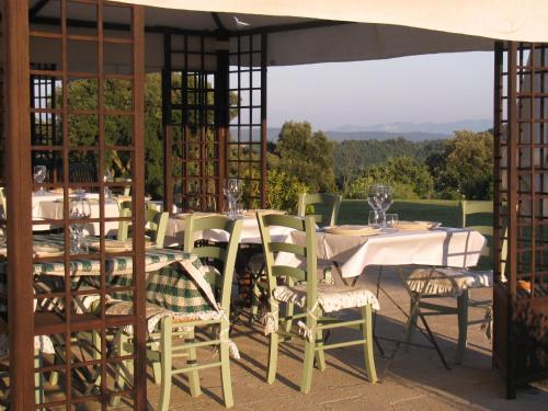 Tenuta Di Seripa - image 11