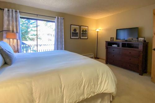 Ski-In Breckenridge Abode Walk to Main St and Lifts Ski-In Breckenridge Abode Walk to Main St and Lifts