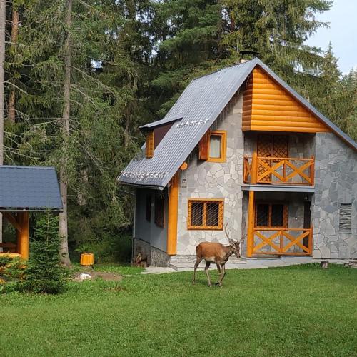 Chata Tatry - Chalet - Tatranská Štrba