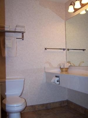 Steamboat Mountain Lodge - image 7