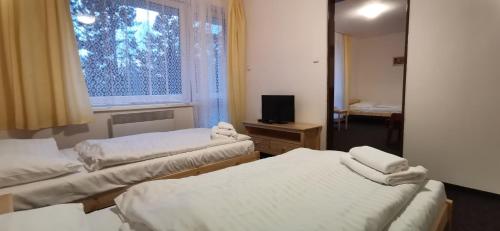 Accommodation in Svratka
