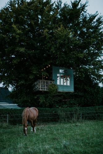  Treehouse escape, Pension in Kværndrup bei Ringe