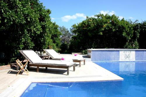 Olive Farm Of Datca Guesthouse - image 5