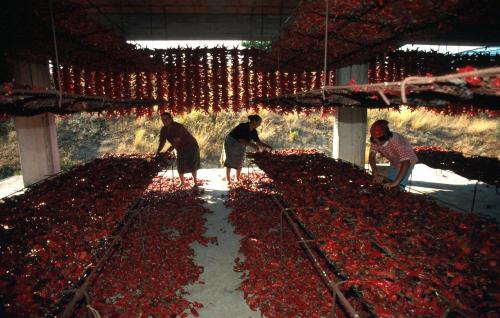 Romantic Hotel & Restaurant Villa Cheta Elite