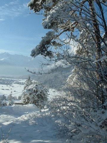 Landgasthof Kirchmayer - image 12