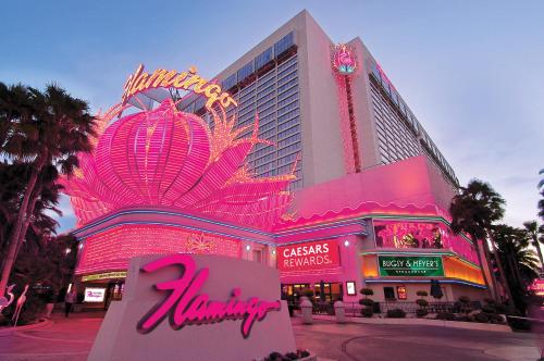 Caesars Race & Sportsbook Kiosks at The Flamingo Las Vegas