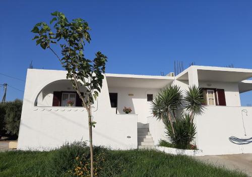 Joanna's Rooms on the Beach