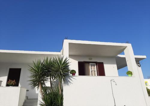 Joanna's Rooms on the Beach 4