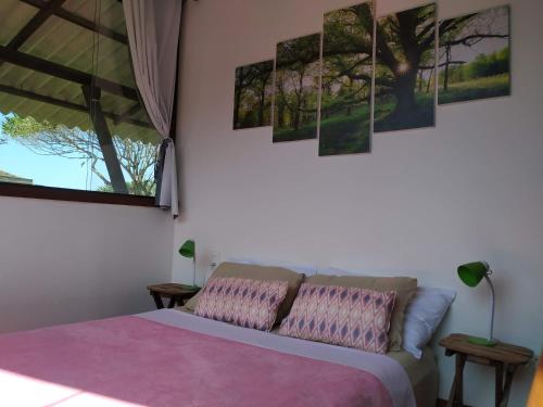 Quintal do Conteiner - Suite Mar e Suite Terra