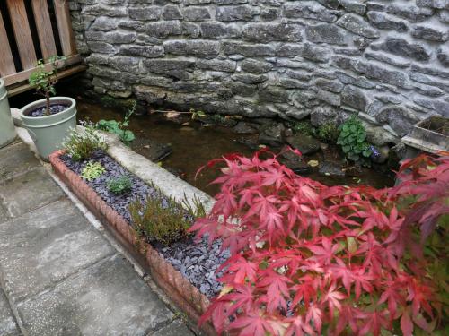 Millstream Cottage - image 12