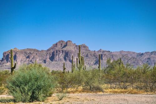 Quiet Retreat about 5 Mi to Lost Dutchman State Park! - image 5