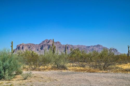 Quiet Retreat about 5 Mi to Lost Dutchman State Park! in Apache Junction