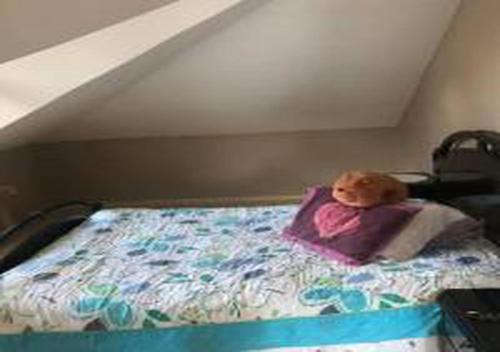 Charming Villa with Private Pool and Garden in Gebze