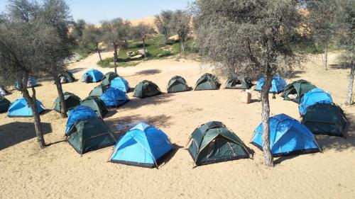 The Dunes Camping & Safari RAK - image 13