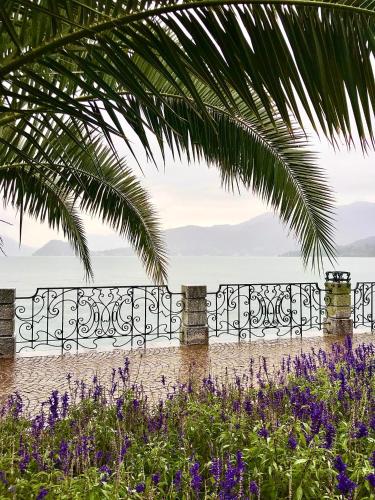 Penthouse Villa Oleandra