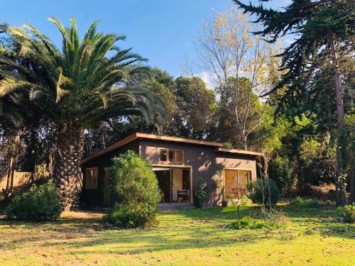 Garden, El Arbol Eco Lodge in La Serena