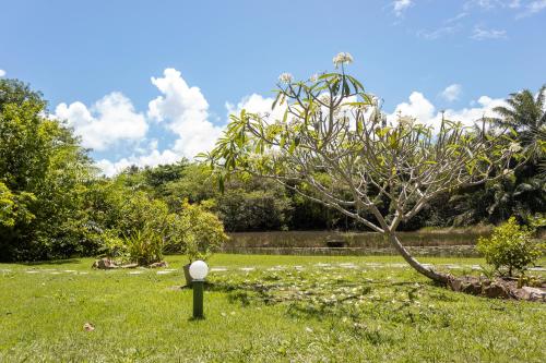 Pousada Lagoa Da Pedra