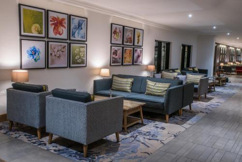 Silverbirch Hotel - image 5