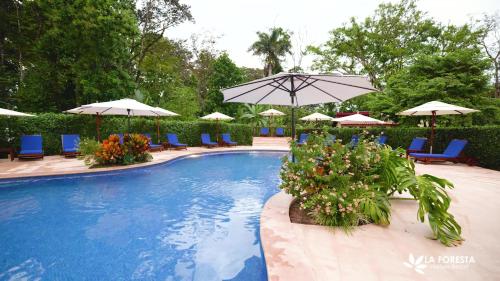 Swimming pool, La Foresta Nature Resort in Quepos