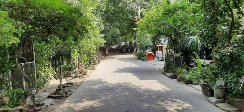 Room in Guest room - Posh S Delhi Foreigners Area, Lajpat Nagar