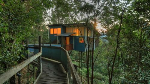 Lyola Pavilions in the Forest