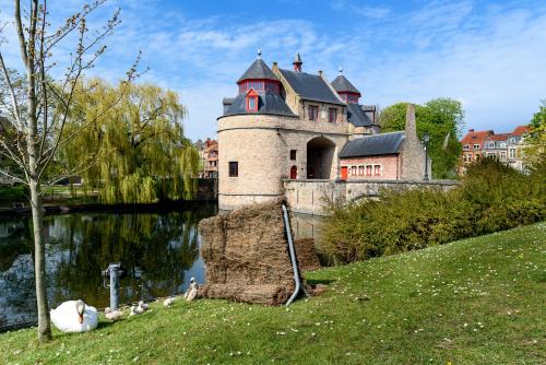 Haven 7, Bruges (photo 6)