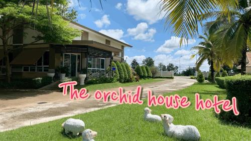 The Orchid House in Kranuan